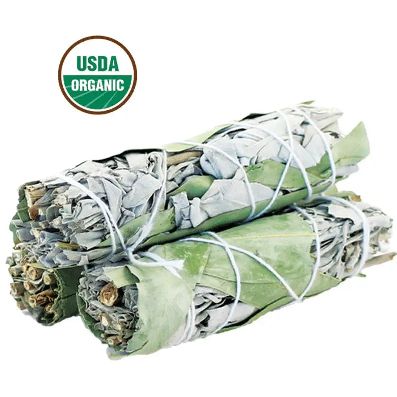 Eucalyptus Sage Bundle